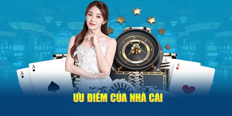 Các danh mục nổi bật người dùng thường quan tâm